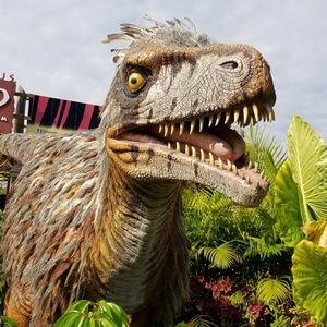 Meet your Posher, Darian